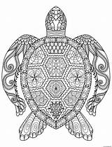 Coloring Pages Zen Turtle Adult Zentangle Printable sketch template