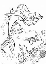 Meerjungfrau Mako Einfach Malvorlagen sketch template