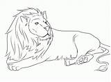 Lion Coloring Pages Printable Lions Animals Drawing Down Easy Print Cub Color Lying Animal Draw Kids Nittany High Drawings Mouse sketch template