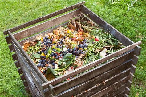 kompost anlegen  wird aus abfall wertvoller duenger