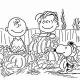 Coloring Pumpkin Pages Printable Charlie Brown Kids Pumpkins Halloween Snoopy Thanksgiving Christmas Sheets Sheet Cartoons Fall Happy Adult Print Colouring sketch template