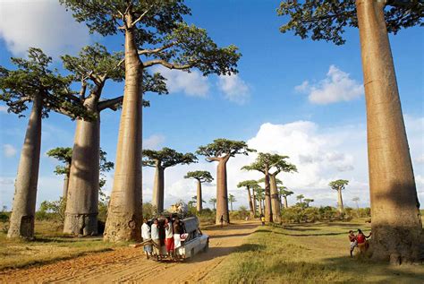 Madagascar Travel Guide Essential Facts And Information