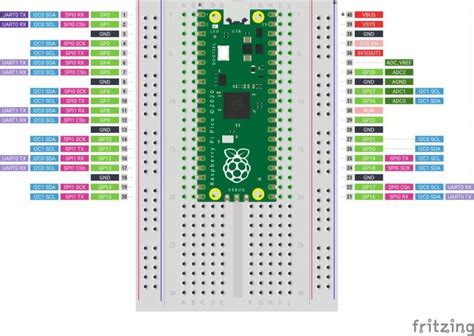 quick labelled fritzing raspberry pi pico layout    chicken