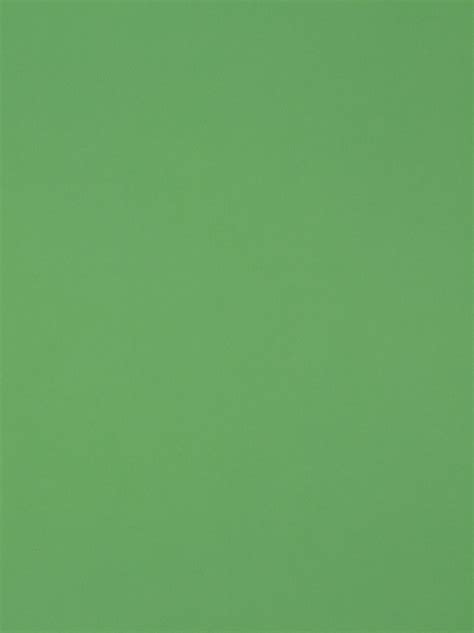 plain green wallpapers top  plain green backgrounds wallpaperaccess