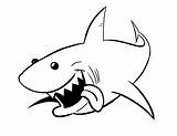 Shark Coloring Pages Kids Usable Leopard Timvandevall Via sketch template