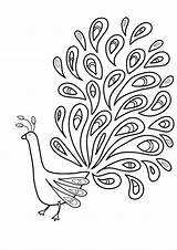 Coloring Feather Pages Bird Getcolorings sketch template