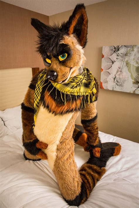 219 Best Reference Fursuits Images On Pinterest Business