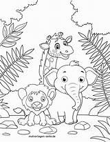 Malvorlagen Malvorlage Wilde Ausmalen Kostenlos Ausmalbild Zootiere Wildtiere Ausdrucken Coloring Tieren Urwald Kuh sketch template