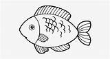 Fish Pescados Dibujos Meat Coloring Pages Seekpng sketch template