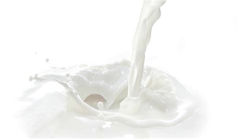 milk   skim milk  open milk