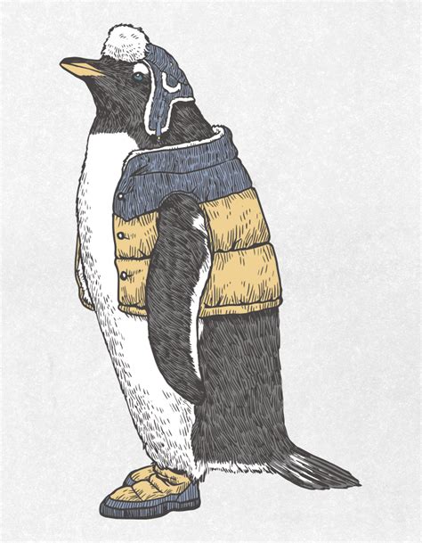 Fashionable Gentoo Penguin Drawing Ai Illustrator File Us 5 00