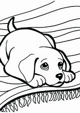 Puppy Coloring Pages Christmas Printable Getcolorings Puppies sketch template