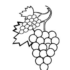 top   printable lovely grapes coloring pages