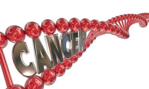 What Are Genetic Markers And What Are They For Step To Health