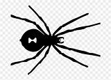 Spider Widow Coloring Pngfind Transparent sketch template