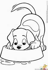 Coloring Puppy Pages Colouring sketch template