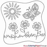 Sheet Summer Colouring Butterfly Flowers Coloring Title sketch template