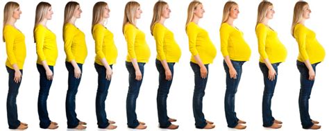 understanding the stages of pregnancy massage magazine
