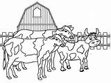 Barnyard Ausmalbilder Cows Bauernhof Realistic Herd Cool2bkids Ausdrucken Malvorlagen Pigs sketch template