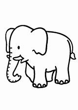 Olifant sketch template
