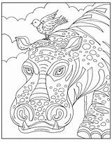 Zendoodle Coloring Animals Magnificent Big Macmillan Creatures Bliss Amazing Color sketch template