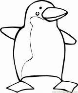 Penguin Coloring Pages Printable Template Penguins Kids Colouring Cartoon Color Club Pittsburgh Puffles Clipart Christmas Cliparts Drawing Print Templates Animal sketch template