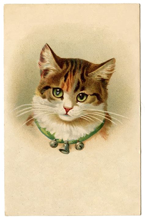 vintage pictures cute kitty cat  bells  graphics fairy