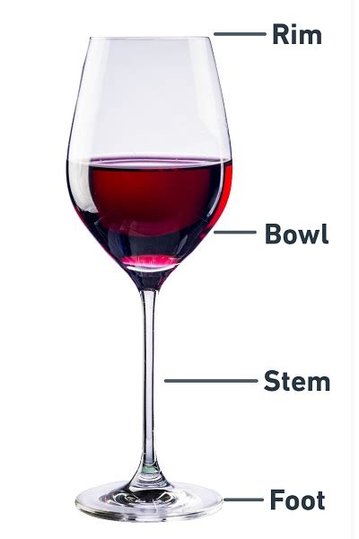 Wine Glasses Explained The Glassware Guide Winelovermagazine