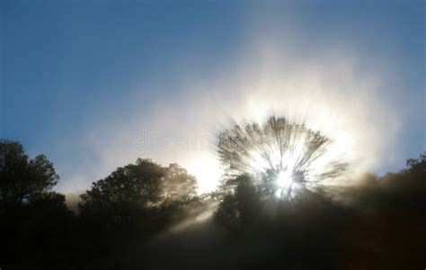 sun rays stock photo image  light morning rays dust