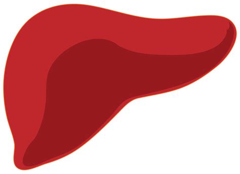 fatty liver disease financial tribune