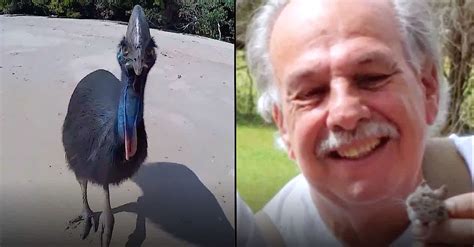 man dies  attack  cassowary  worlds  dangerous bird