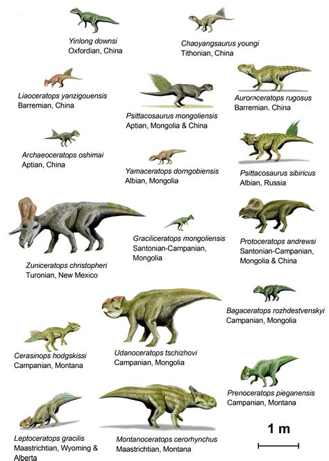 types dinosaurs  types