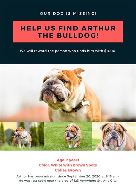 printable customizable lost dog flyer templates canva