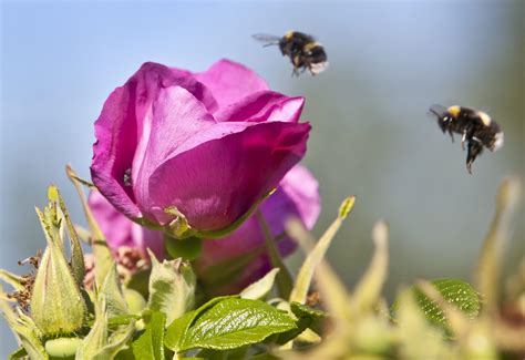 Sommarhälsning Från Hsb