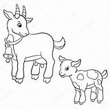 Cabra Cabrito Granja Geitje Geit Madre Goatling Goats Mayka Boerderijdieren St2 sketch template