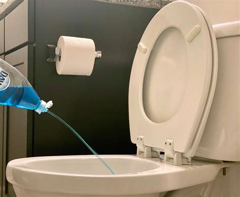 clogged  toilet   find  plunger heres    cnet