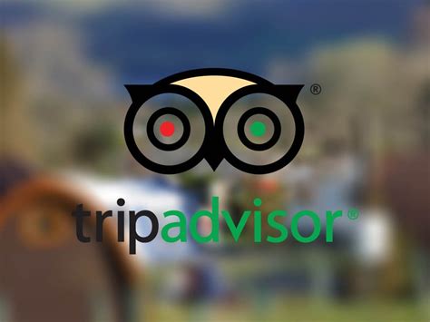 optimize  tripadvisor listing  attract  guests