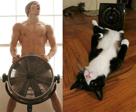 Tumblr Of Hunky Guys Paired With Photos Of Cats In Matching Poses Is