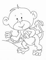 Coloring Ape Pages Baby Kids Bestcoloringpages Colouring Printable Color Animals Getcolorings Designlooter Getdrawings Cartoon sketch template