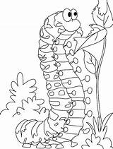 Coloring Caterpillar Pages Hungry Satisfying Very Printable Printables Hunger Dominican Sheets Kids Drawing Flag Colouring Insect Sheet Republic Color Getcolorings sketch template