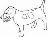 Russell Terrier Dog Disegni Cani Colorare Lassie Coloringpagesforadult sketch template
