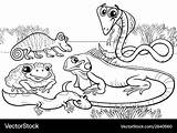 Reptiles Coloring Amphibians Cartoon Vector Funny Illustrations Stock Animals Royalty Alamy Group sketch template