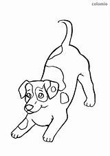 Russel Hunde Ausmalbild Hund Happycolorz Malvorlage Laika sketch template