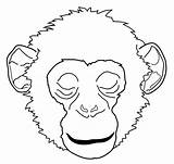 Chimpanzee 2773 Tad Ohbq Explorateur Coloriages sketch template