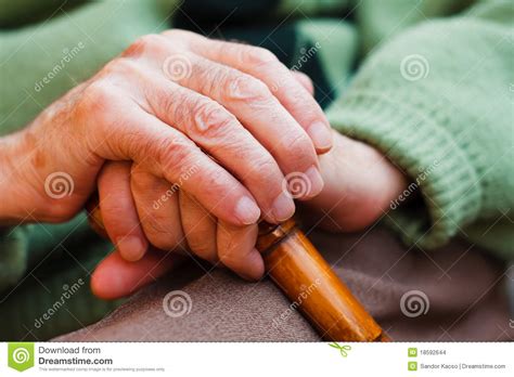 elderly hands stock photo image  senior wood hands