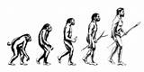 Evolution Human Illustration Graphics sketch template
