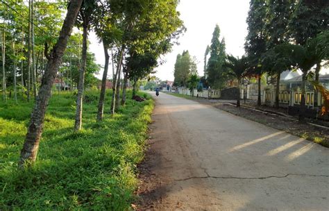tanah luas murah  padaasih kec cibogo kabupaten subang terletak