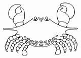 Mewarnai Kepiting Crabe Crabes Granchio Coloriages Krab Kolorowanki Dzieci Cangrejos Marine Paud Animali Coloradisegni Macam Berbagai Ikan sketch template