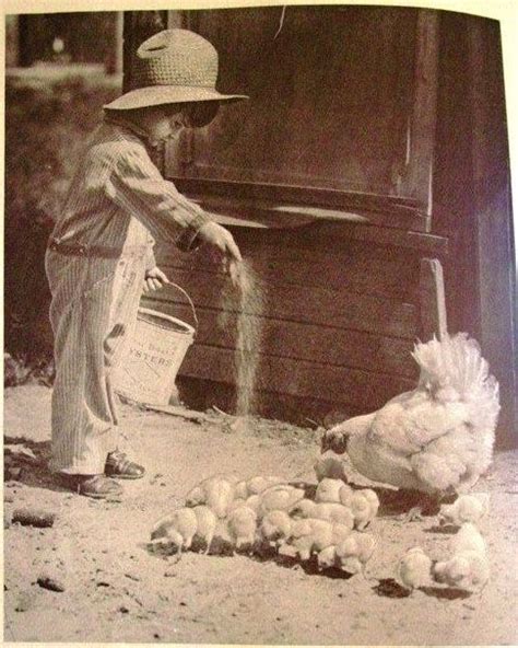 interesting vintage   children feeding animals farm