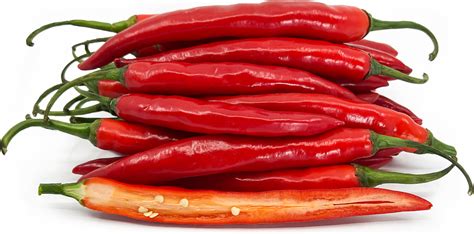 red chile peppers information  facts